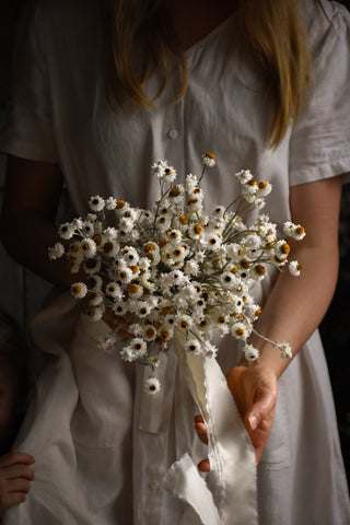 amble and twine dried flowers australia everlasting en masse bridal bouquet