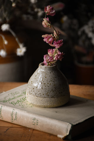 dried flowers australia amble and twine sand speckled bud vase - small