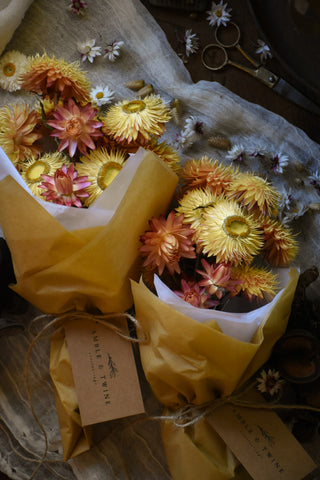 amble and twine dried flowers australia dried strawflowers - peach