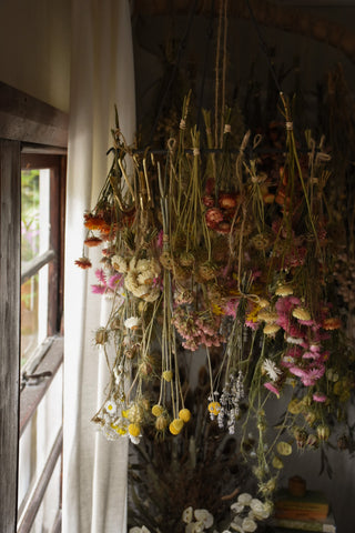 amble and twine dried flowers australia dried flower hanger