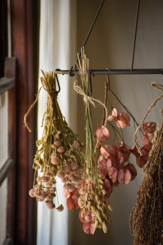 amble and twine dried flowers australia dried flower hanger
