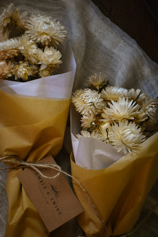 amble and twine dried flowers australia dried strawflowers - vintage white
