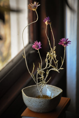 amble and twine dried flowers australia ikebana vase - free form