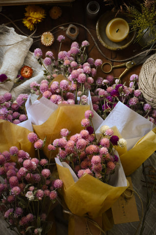 amble and twine dried flowers australia globe amaranth - pink
