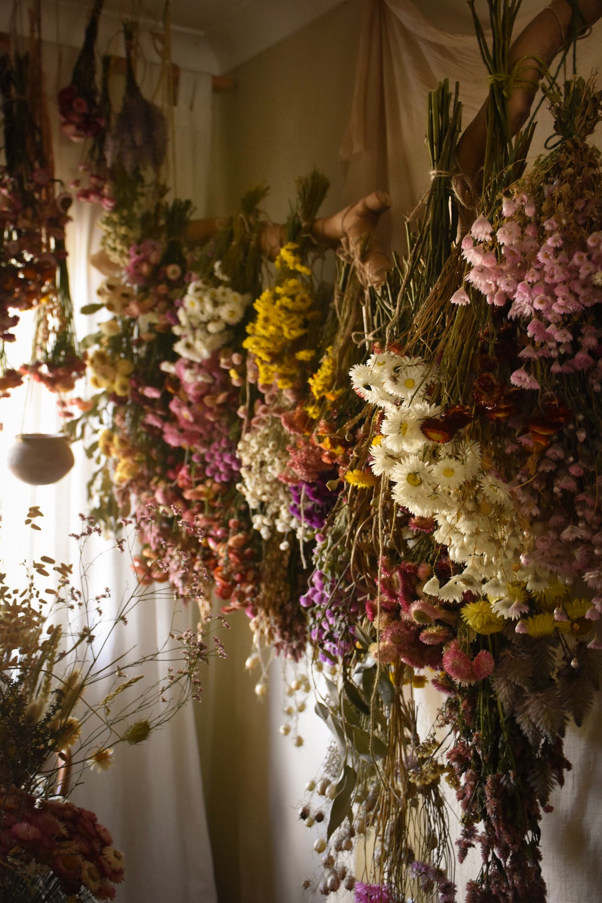 How to Dry Flowers at Home... Naturally! Dried Flowers Australia
