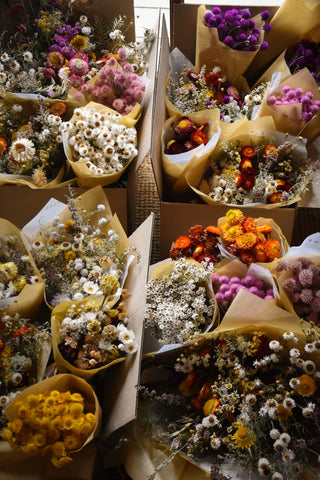discover the best dried flowers australia has to offer amble and twine 