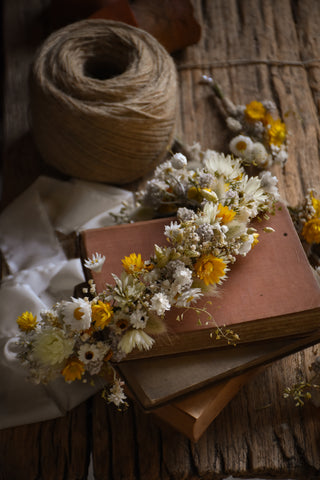 amble and twine dried flowers australia dried paper daisies - sticky everlasting