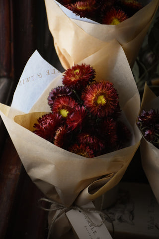 amble and twine dried flowers australia dried strawflowers - burgundy