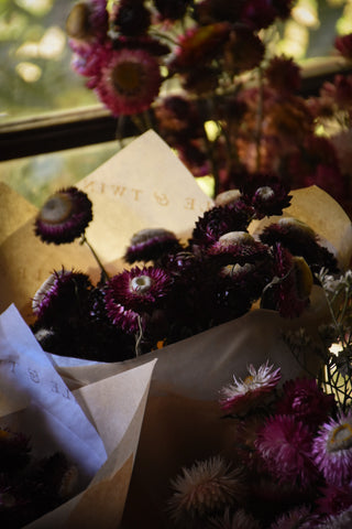 amble and twine dried flowers australia dried strawflowers - dark purple