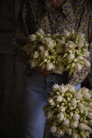 amble and twine dried flowers australia dried blushing bride flowers