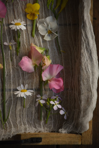 amble and twine dried flowers australia sweet pea seeds