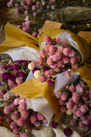 amble and twine dried flowers australia globe amaranth - pink