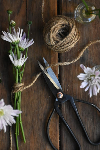 amble and twine dried flowers australia scissors - solid steel