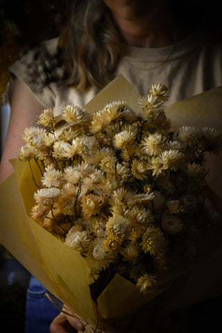 amble and twine dried flowers australia dried strawflowers - vintage white