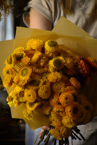 amble and twine dried flowers australia dried strawflowers - golden yellow