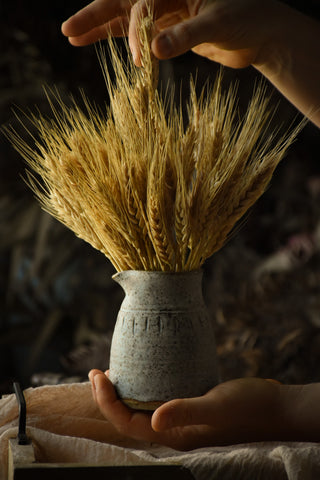 Natural Dried Wheat / Australian Dried Flowers