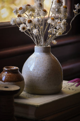 amble and twine dried flowers australia bright speckled bud vase