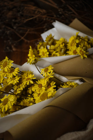 amble and twine dried flowers australia dried paper daisies - yellow