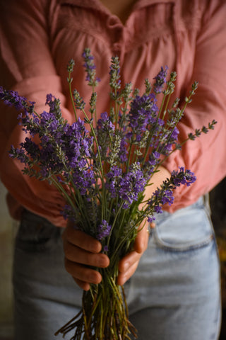 amble and twine dried flowers australia lavender seeds