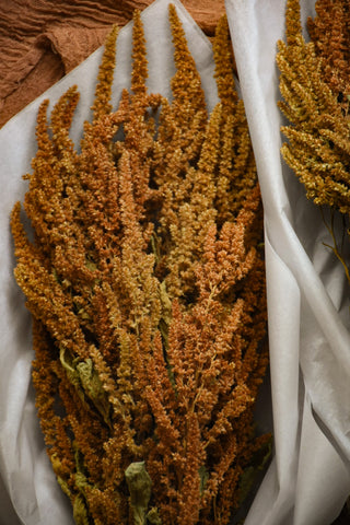 amble and twine dried flowers australia dried golden amaranth