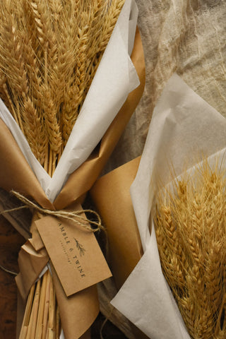 dried wheat