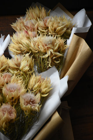 amble and twine dried flowers australia dried blushing bride flowers