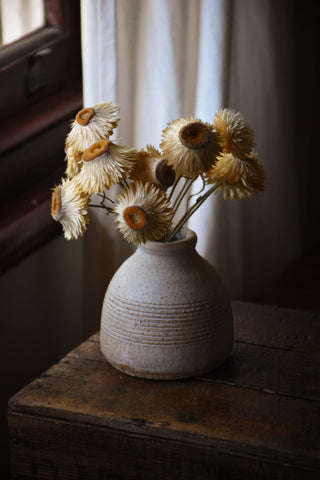 amble and twine dried flowers australia stout stone vase - large