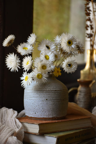 amble and twine dried flowers australia stout stone vase - medium