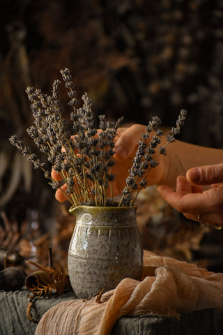 naturally dried lavender flowers