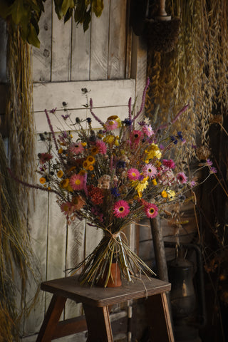 amble and twine dried flowers australia vibrant meadow bouquet