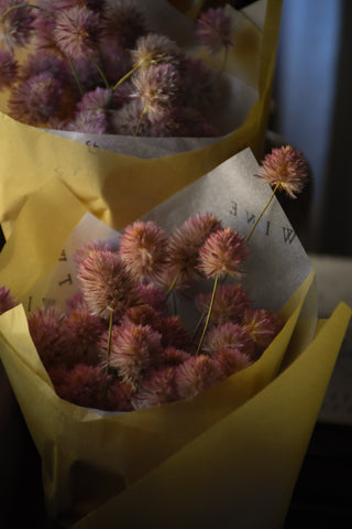 Dried Statice - White  Dried Flowers Australia – AMBLE & TWINE