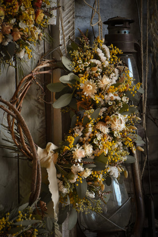 dried flowers australia everlasting wreath making kit - white daisies - amble and twine