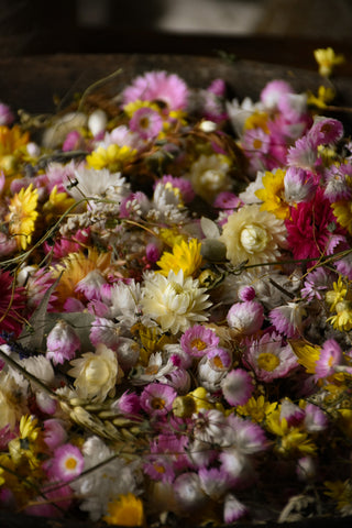 amble and twine dried flowers australia wildflower confetti