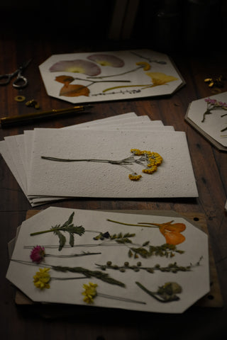 amble and twine dried flowers australia herbarium paper
