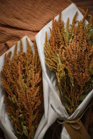 amble and twine dried flowers australia dried golden amaranth