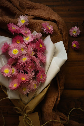 amble and twine dried flowers australia dried paper daisies - pink