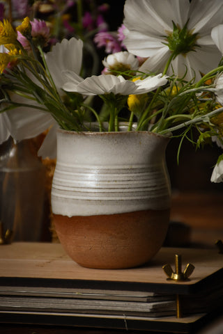 amble and twine dried flowers australia white terracotta creamer vase