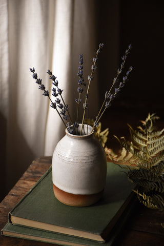amble and twine dried flowers australia white terracotta vase
