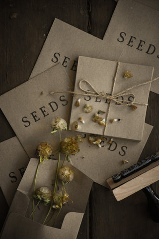 amble and twine dried flowers australia seed saving envelopes