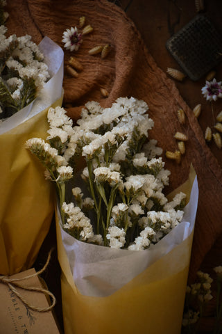 amble and twine dried flowers australia dried statice - white