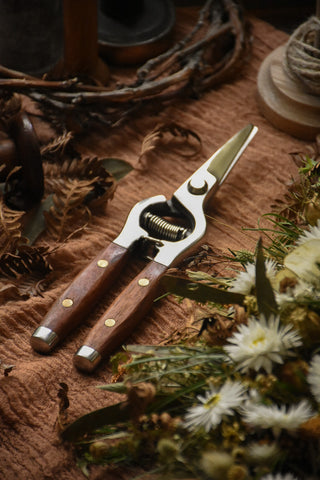 amble and twine dried flowers australia flower snips with wooden handles