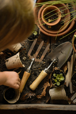 amble and twine dried flowers australia gardening tools - kids