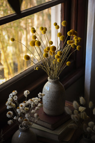 sand speckled vase - for dried flowers - australia